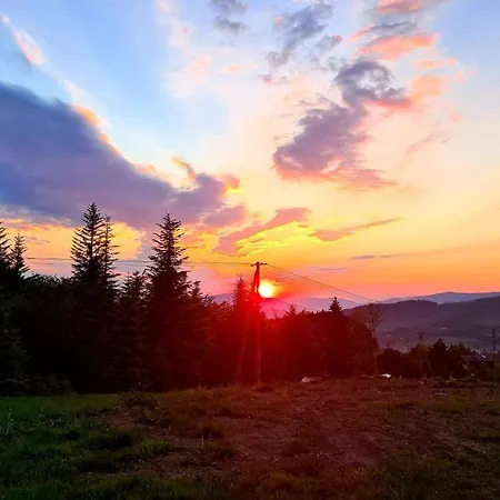Forest House Lubomierz  Zewnętrze zdjęcie