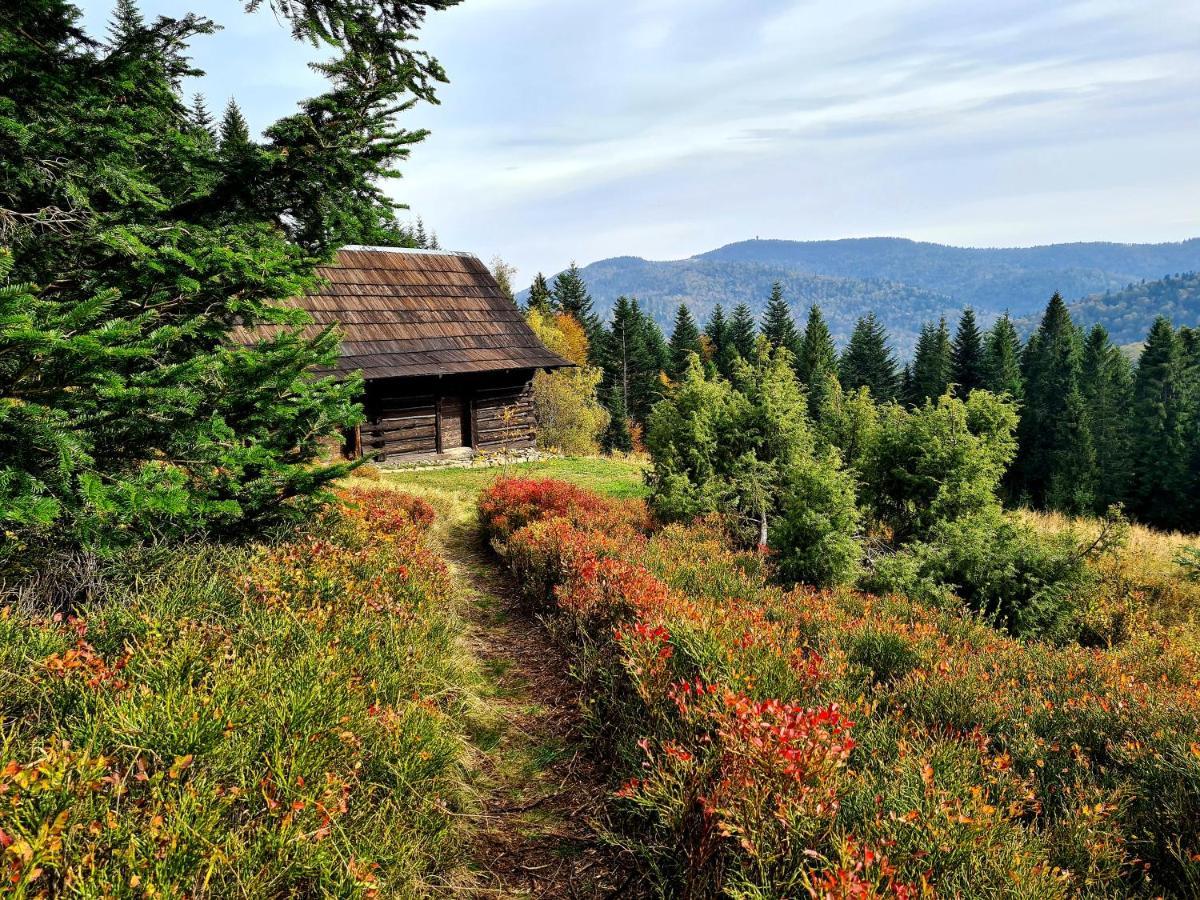 Forest House Lodge