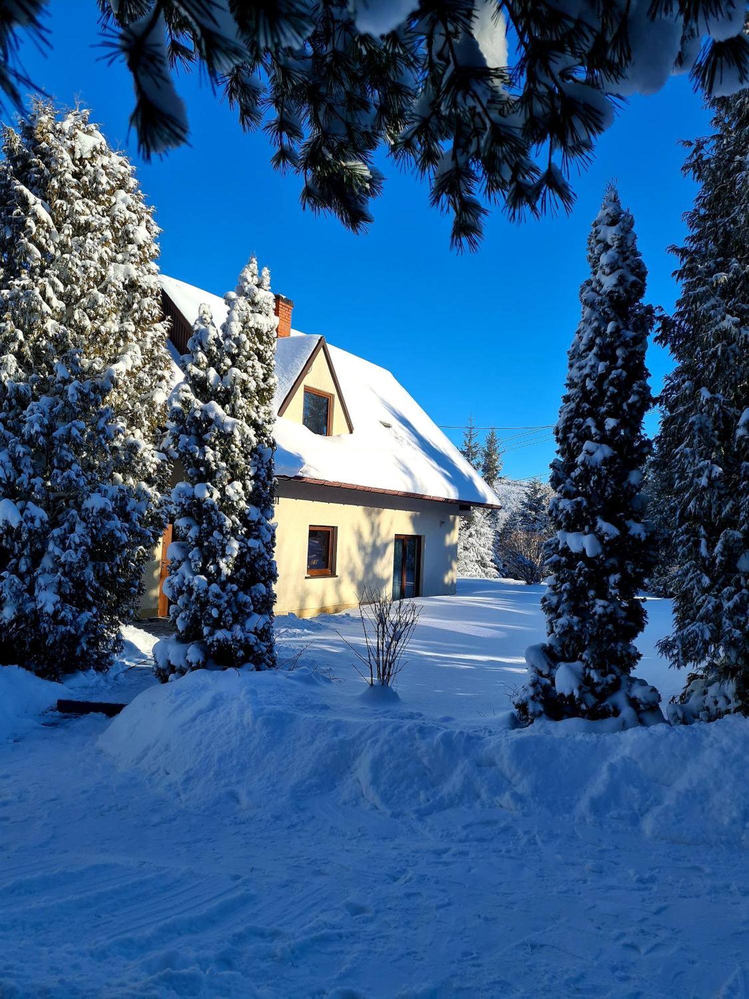 Forest House Lodge *